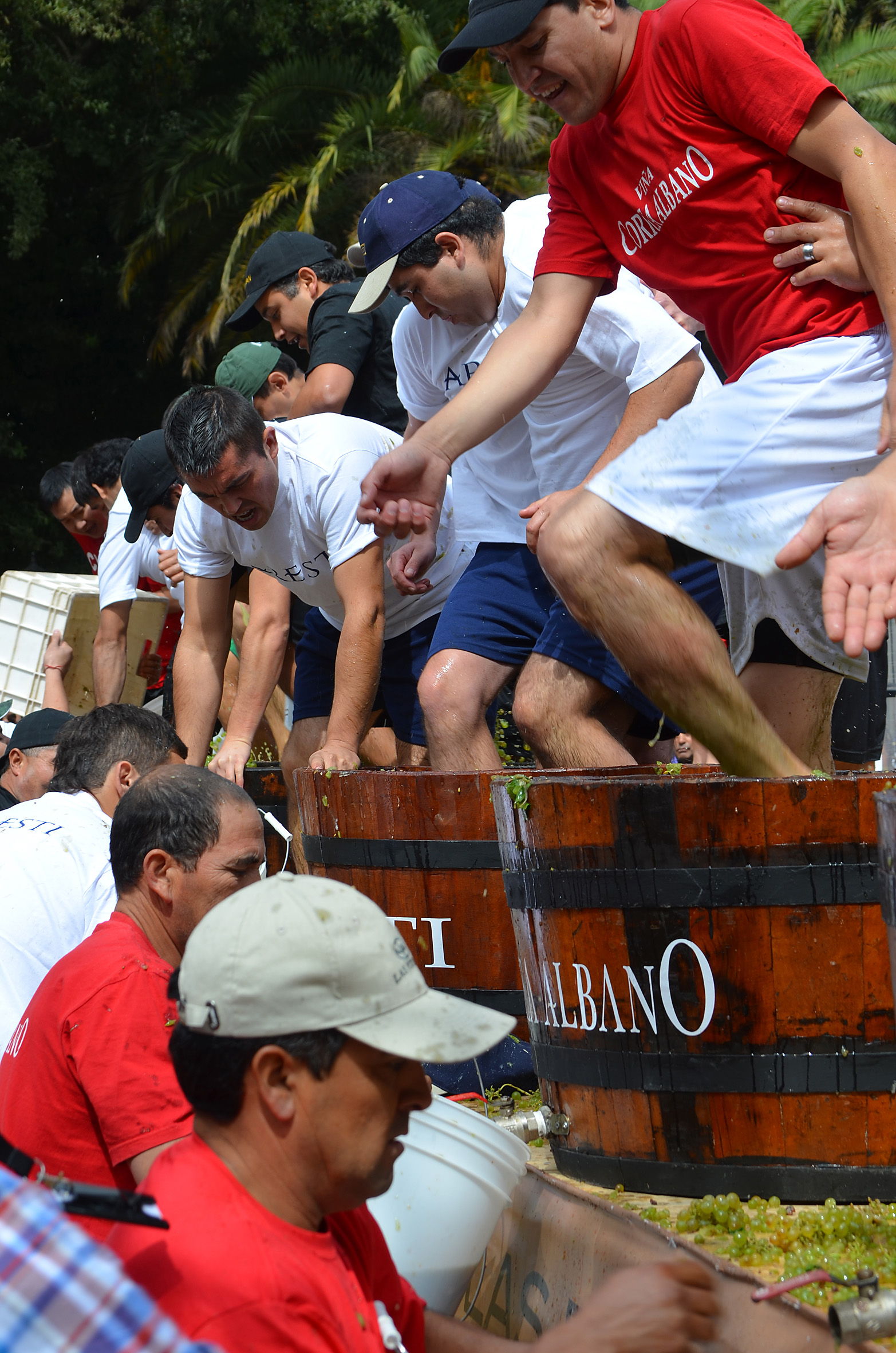 Crédito_Ruta del Vino Curicó_1