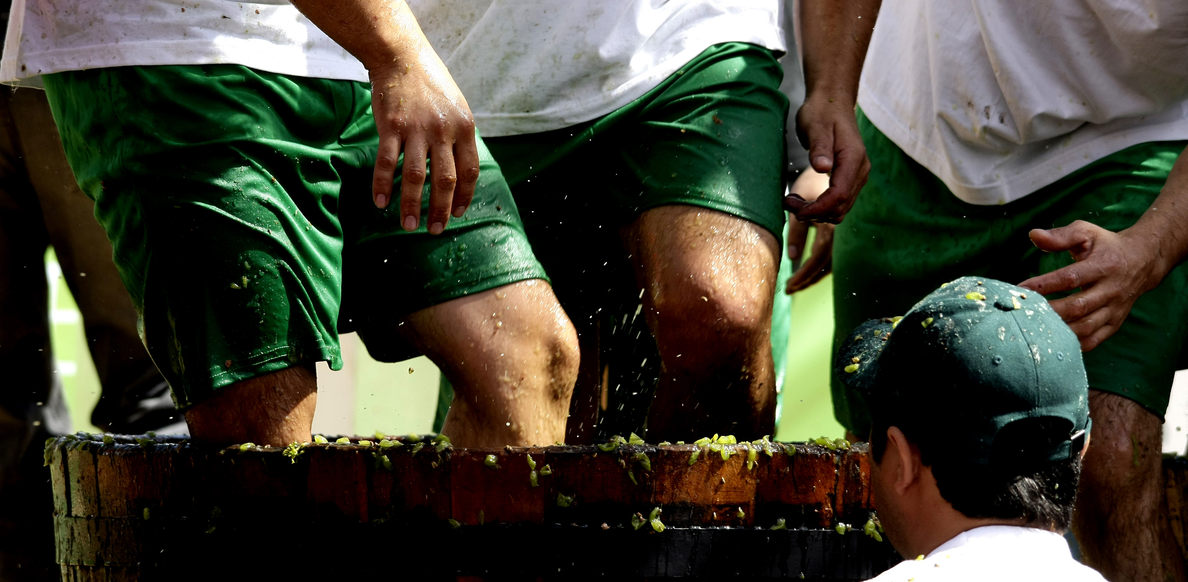 Crédito_Ruta del Vino Curicó_3 (1)