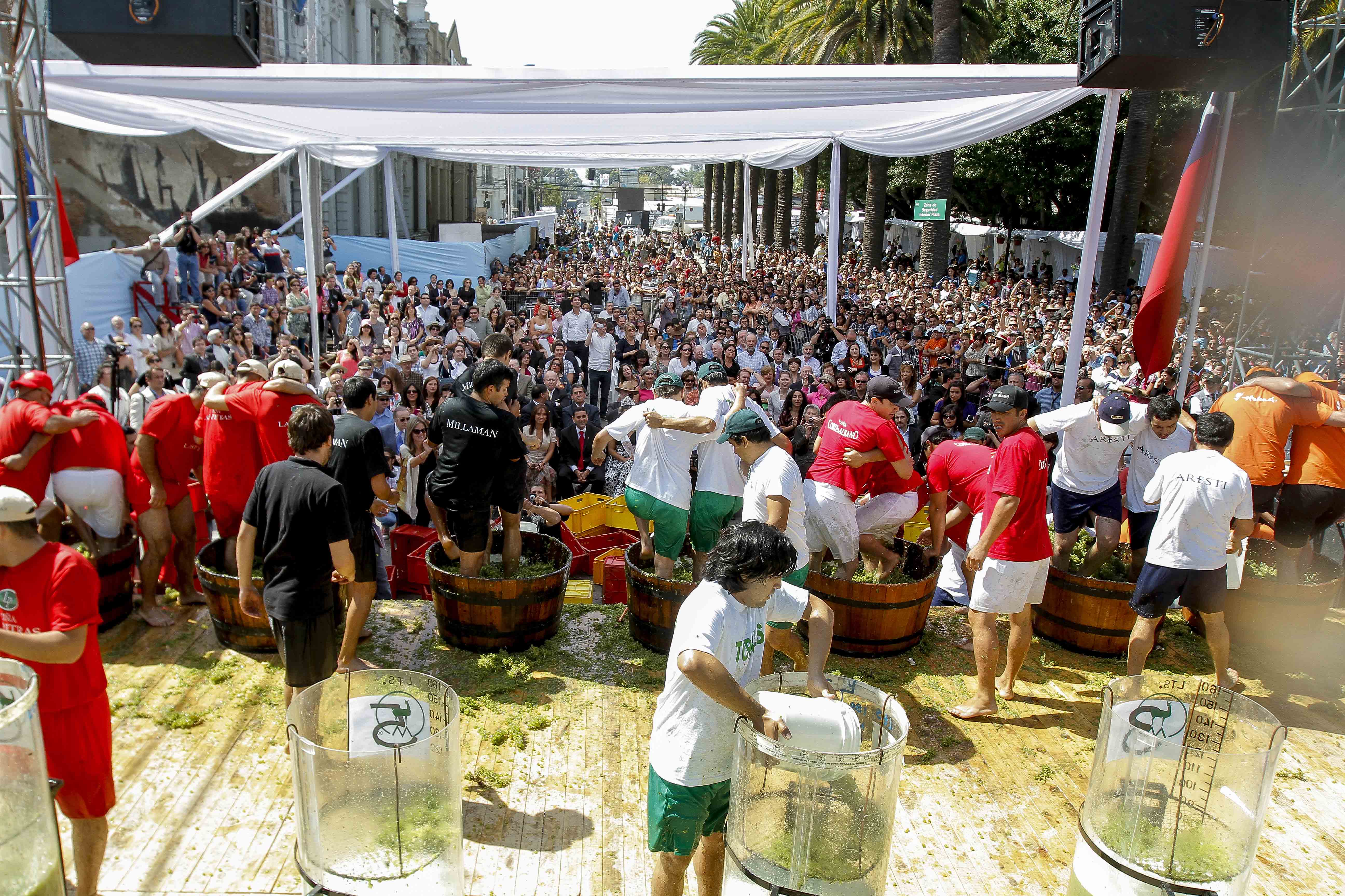 Crédito_Viña Miguel Torres_2 (1)