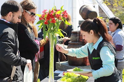 TrenSaboresdelMaule1