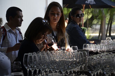 TrenSaboresdelMaule3