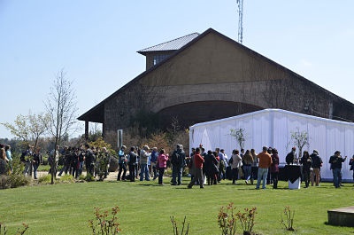 TrenSaboresdelMaule4