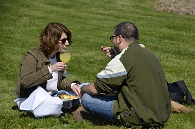 TrenSaboresdelMaule5