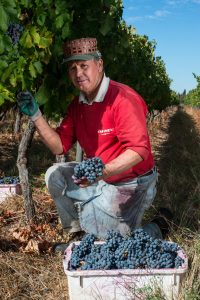 Cremaschi Furlotti-39