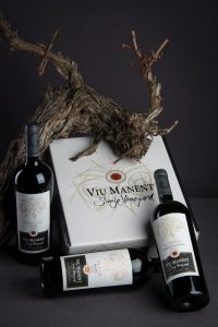 Viu Manent Single Vineyard