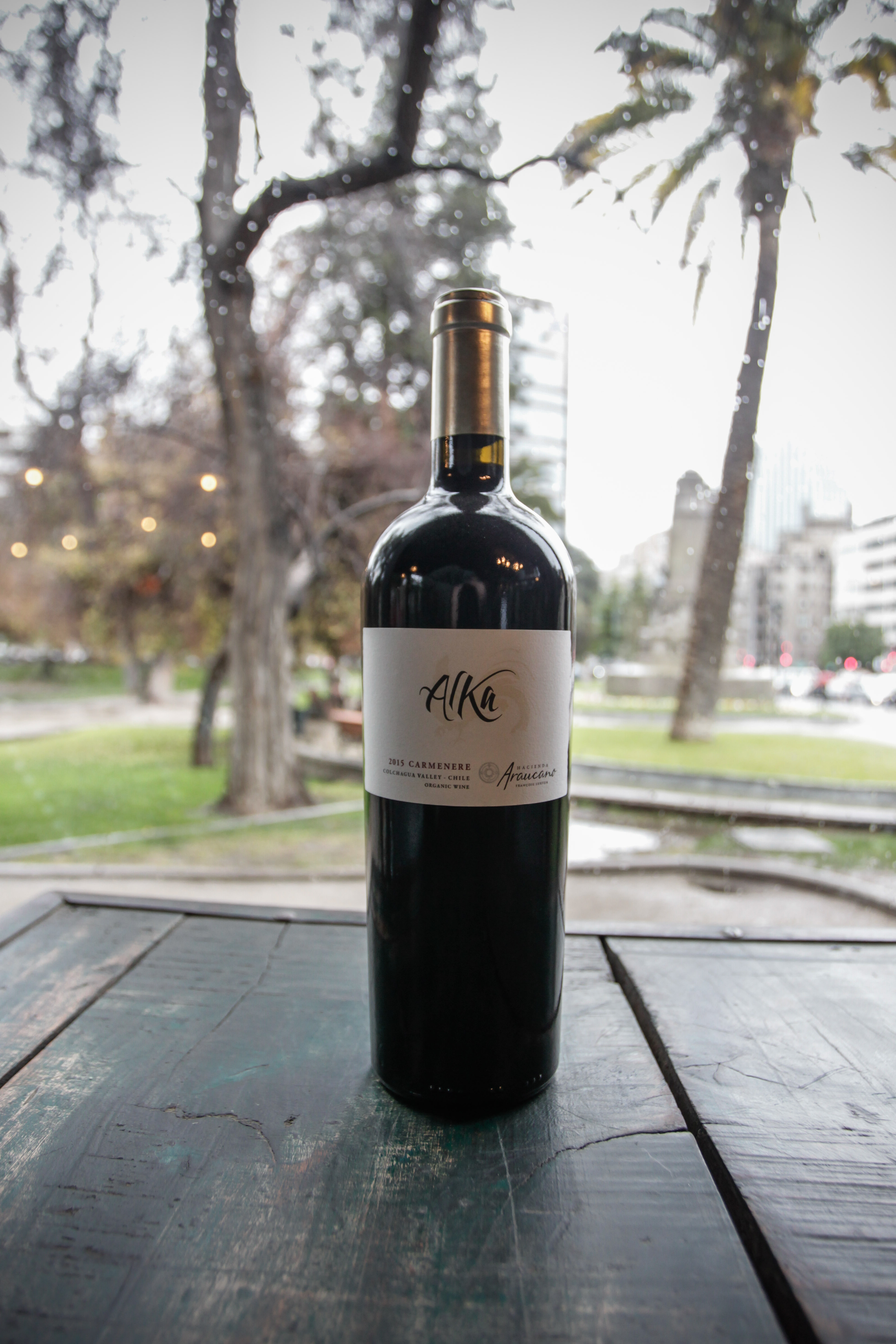 ELCF20170704_DSN_0055