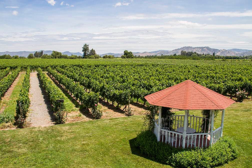 2017-09-05-PHOTO-00000033