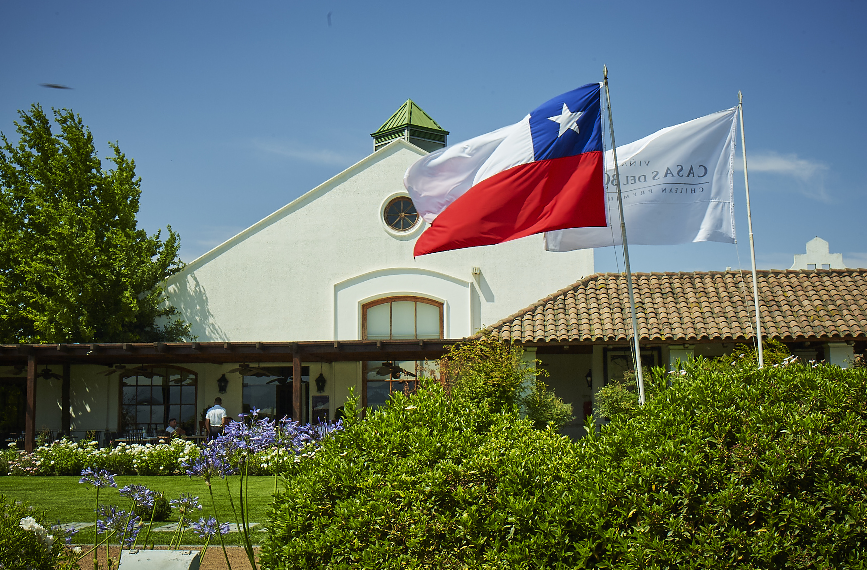 foto fiestas patrias 1