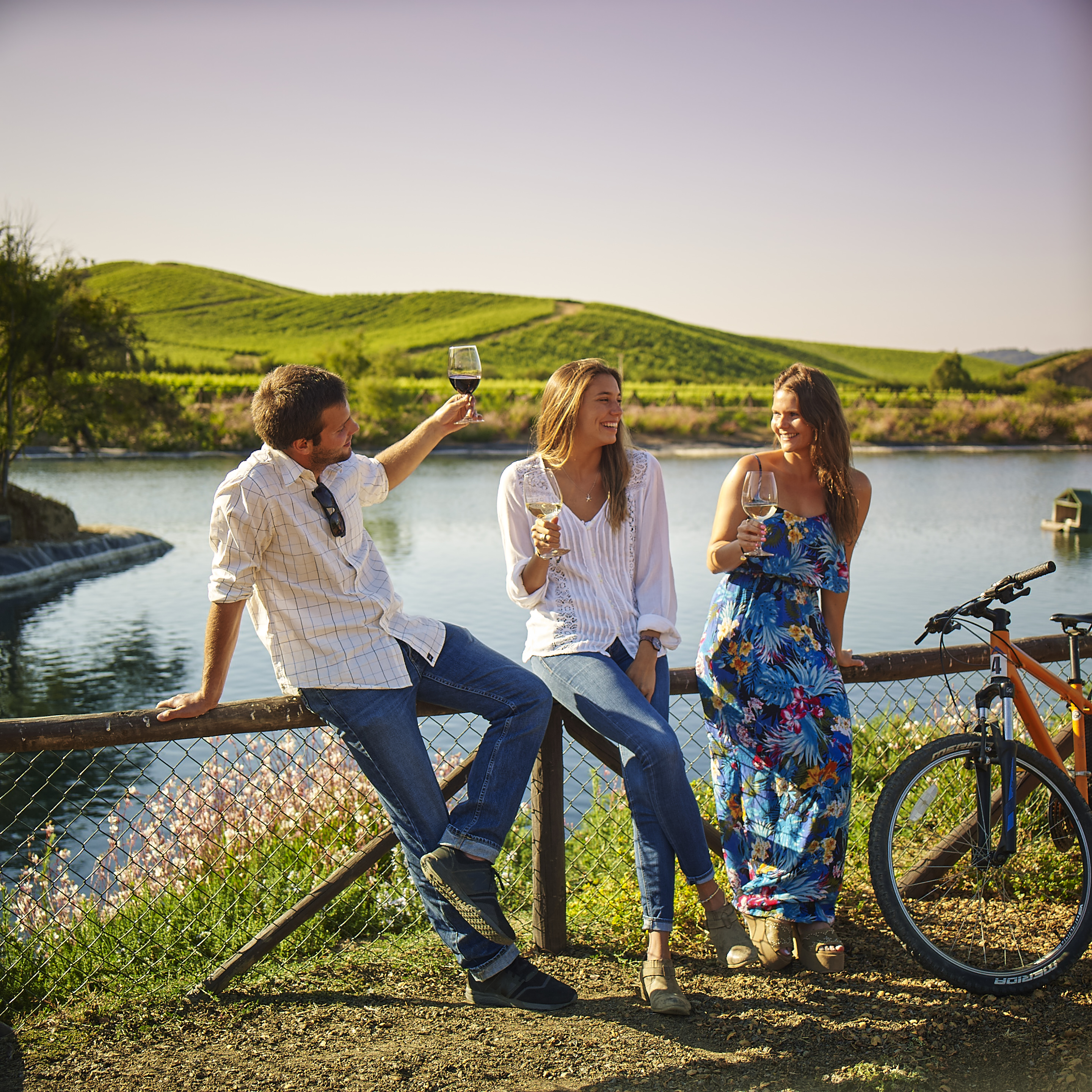 foto fiestas patrias