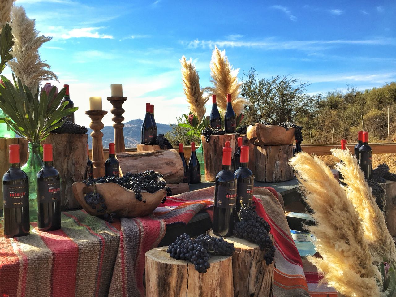 FloresLosLingues Cerro Basalto Koyle