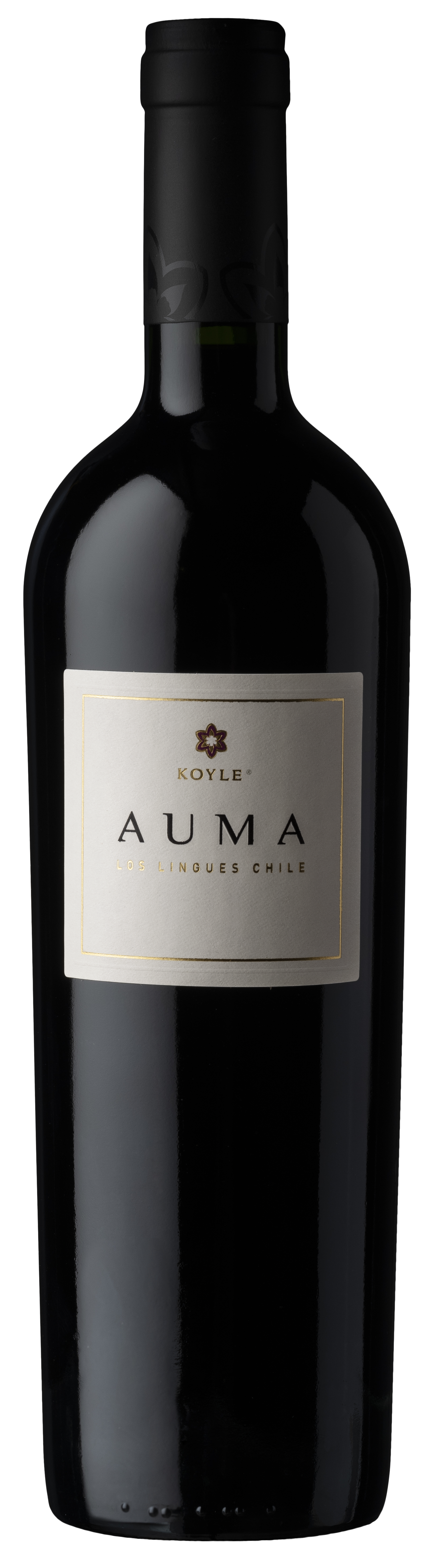 Koyle Auma_generica (002)